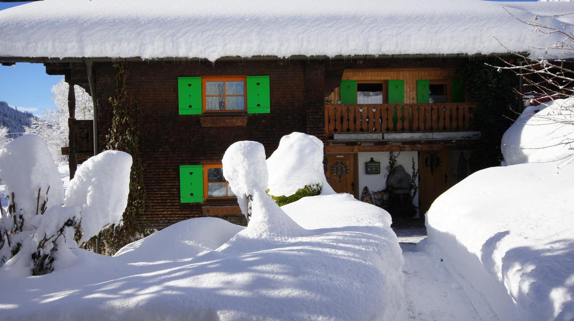 Haus Aelpele Daire Klosterle am Arlberg Dış mekan fotoğraf